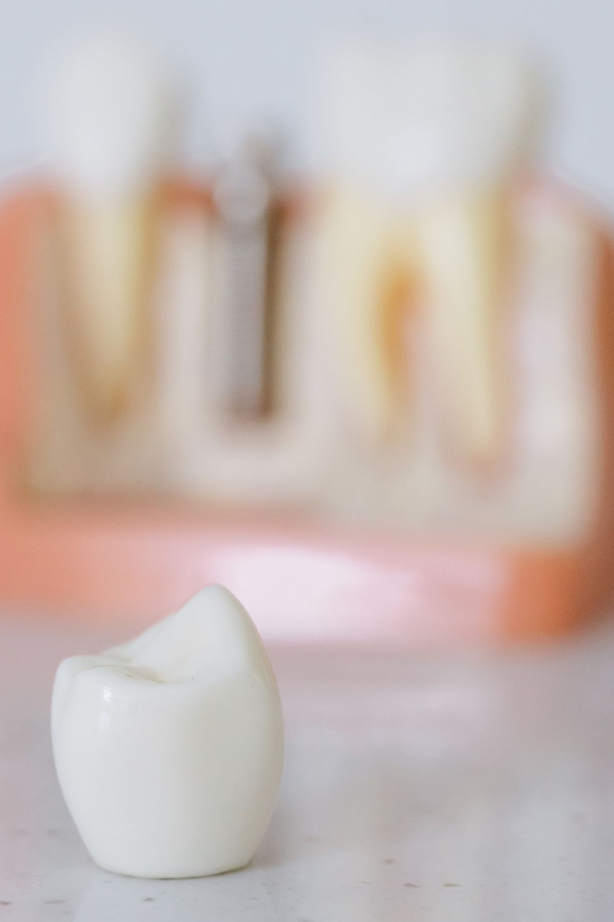 Un diente de reemplazo junto a un modelo dental de demostración.